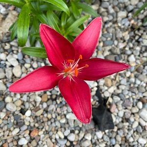 Meet your Posher, Anitra